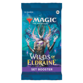 Wizards of the Coast MTG:  Wilds of Eldraine Set Booster Pack