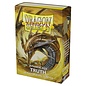 Arcane Tinman Dragon Shield Card Sleeves: