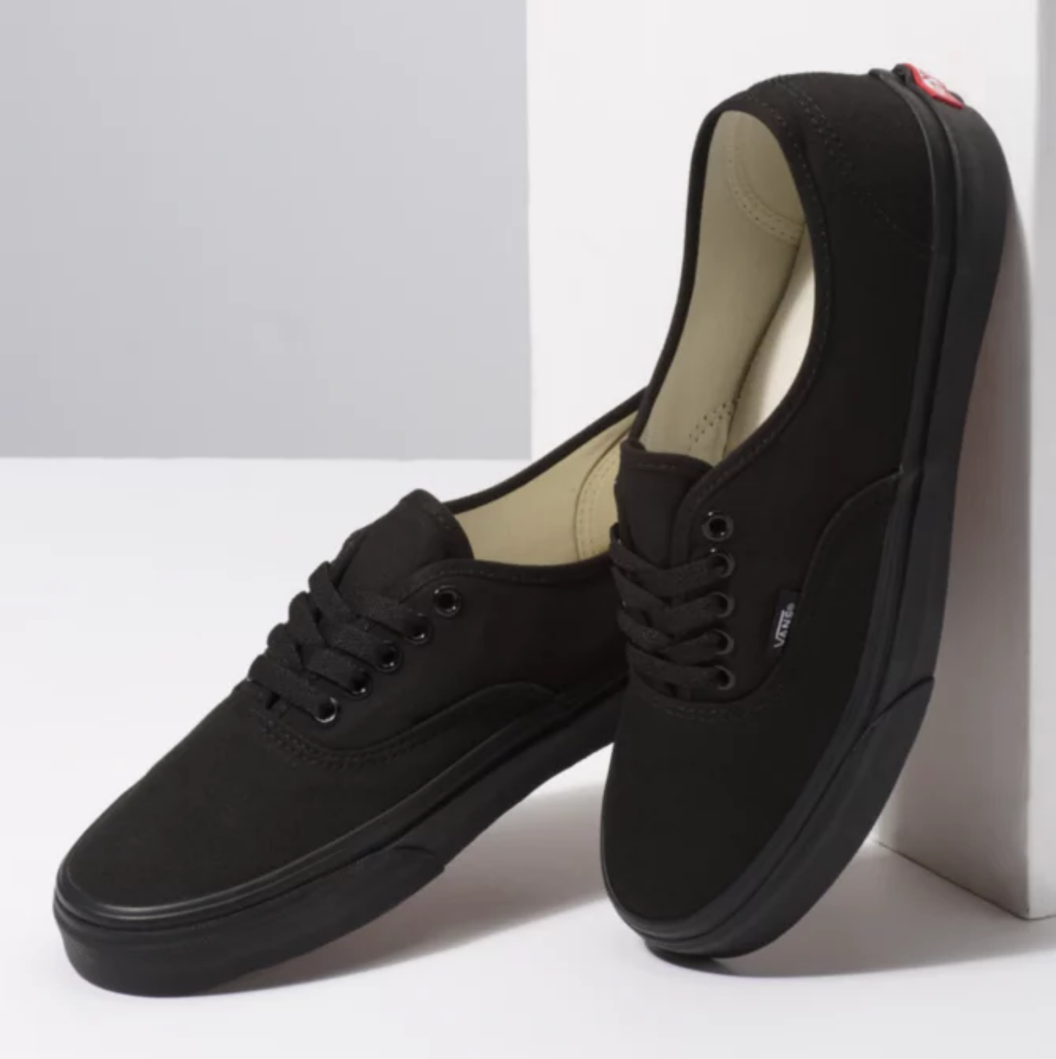 Belyse ved siden af Når som helst Vans Authentic Black/Black Skate Shoes