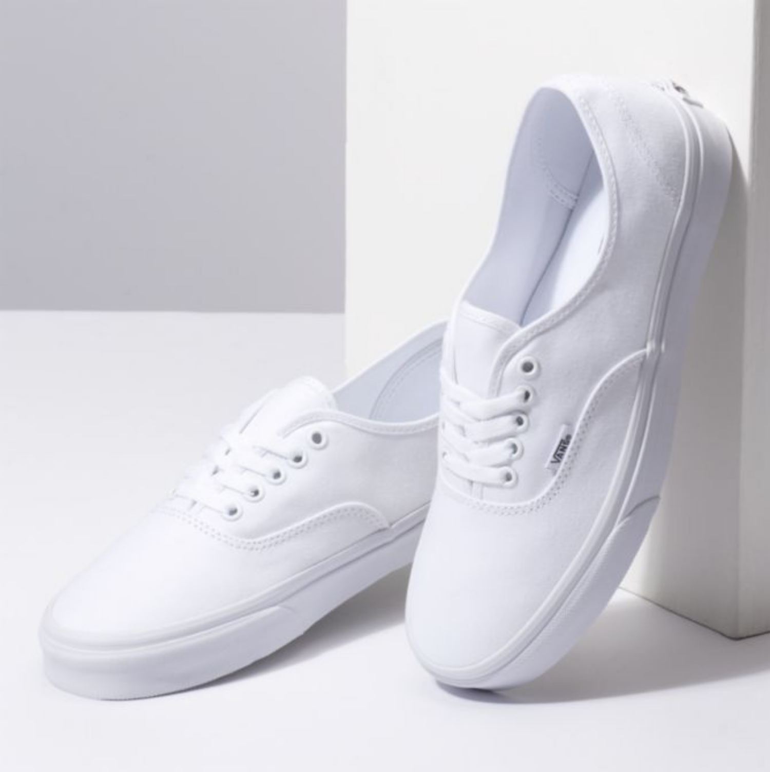 Strålende Forsømme tricky Vans Authentic True White Skate Shoes