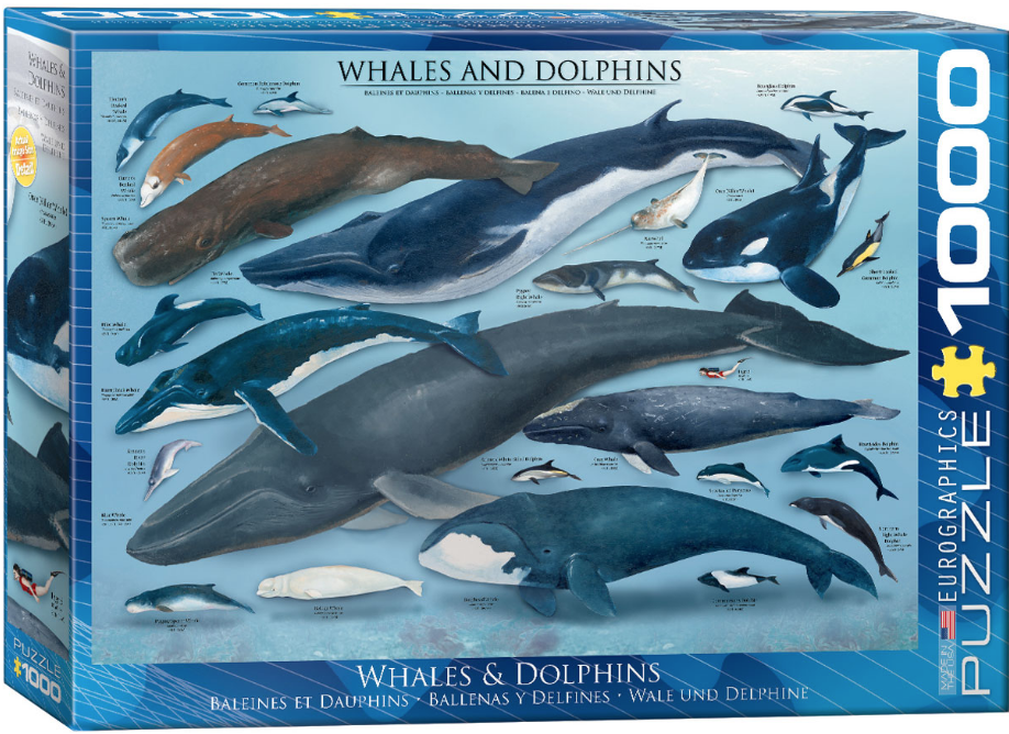 Whales & Dolphins 1000pc Puzzle