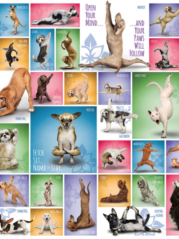 Eurographics Yoga Dogs 1000pc Puzzle