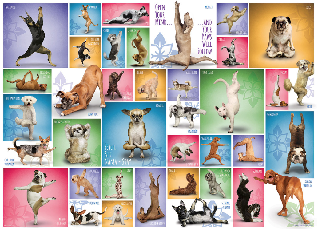 Yoga Dogs 1000pc Puzzle