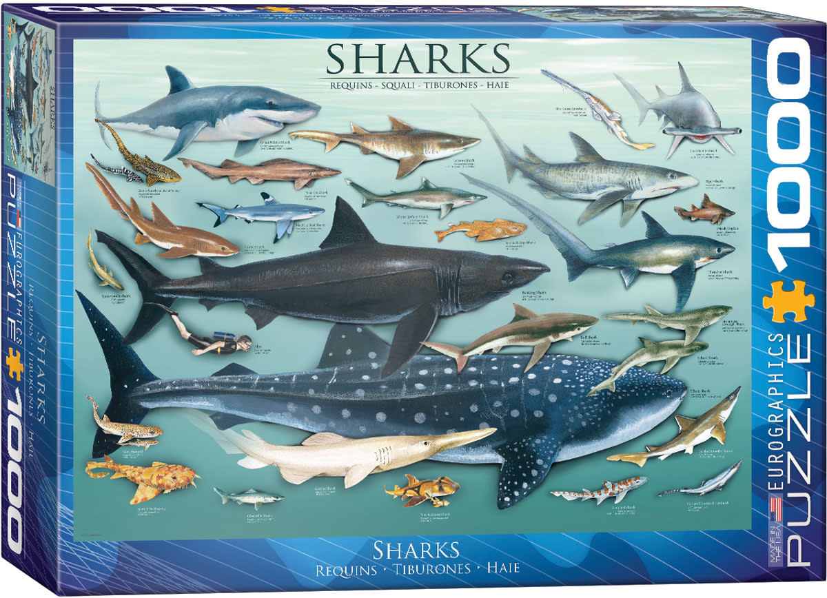 Schleich Hammerhead Shark (Yellow Dot)