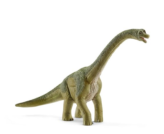 Brachiosaurus