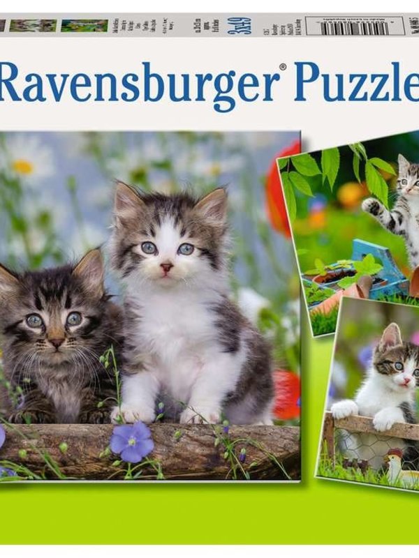 Ravensburger Cuddly Kittens 3x49pc Puzzles