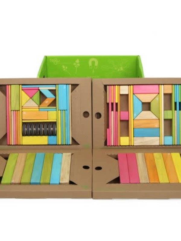 Tegu Tegu Classroom Kit 90pc (tints)