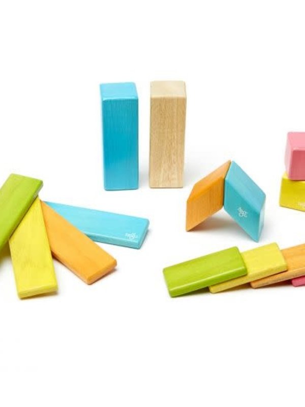 Tegu Tegu - Magnetic Wooden Blocks-14pc Set -Tints