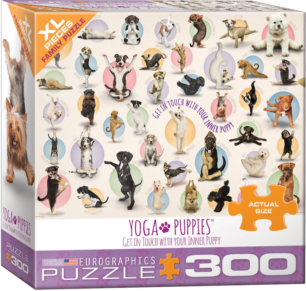 Yoga Puppies 300pc XL Puzzle