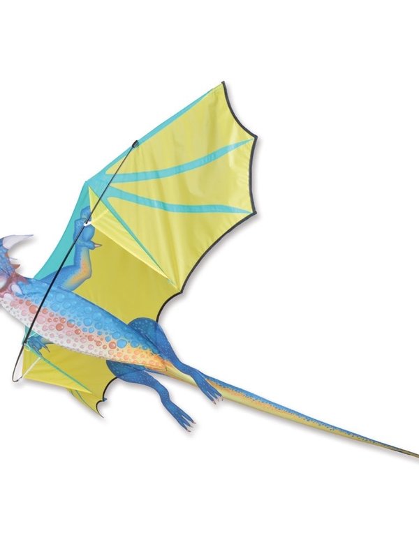 Premier Kites 3D Stormcloud Dragon Kite