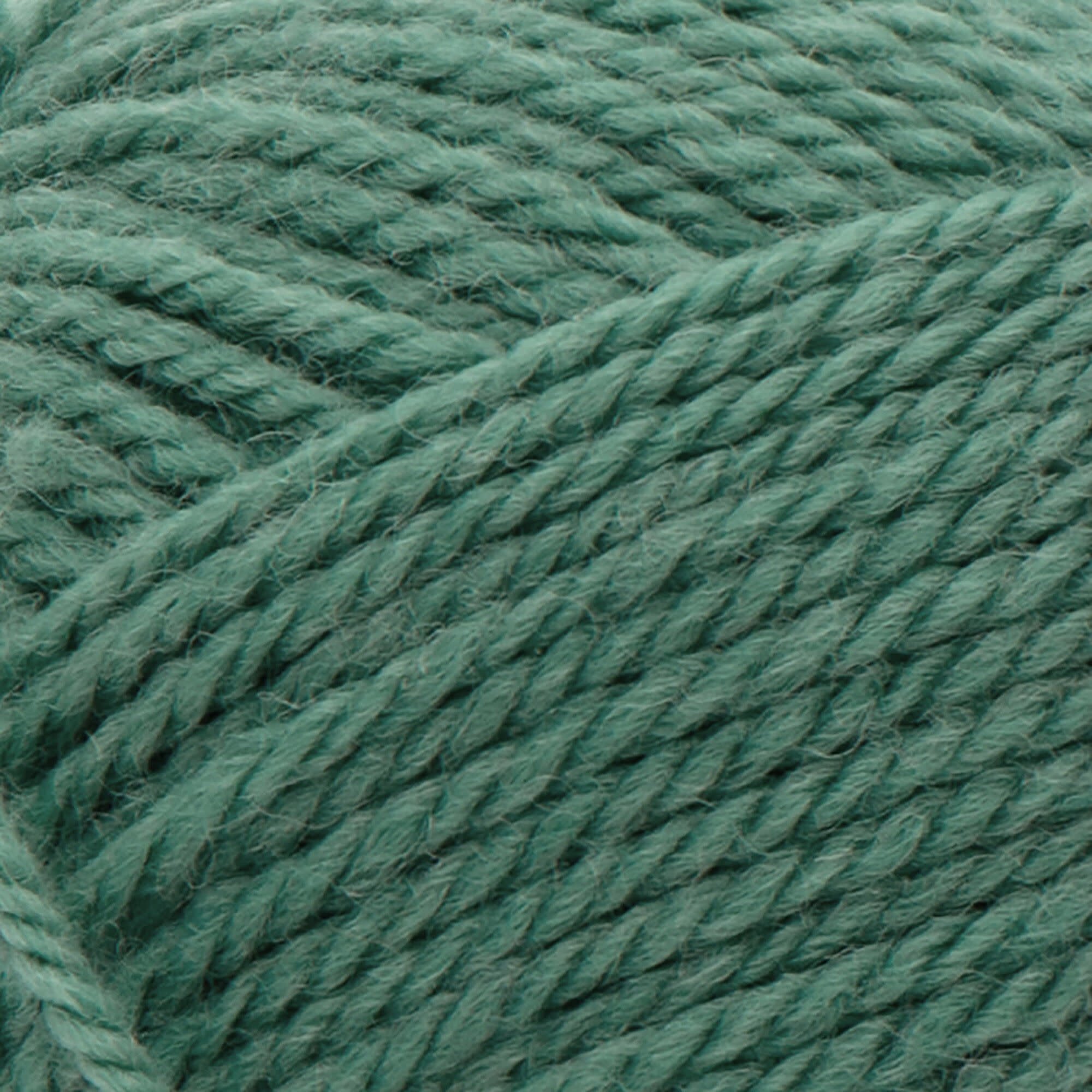 Patons Classic Wool Worsted - Rich Grass/764