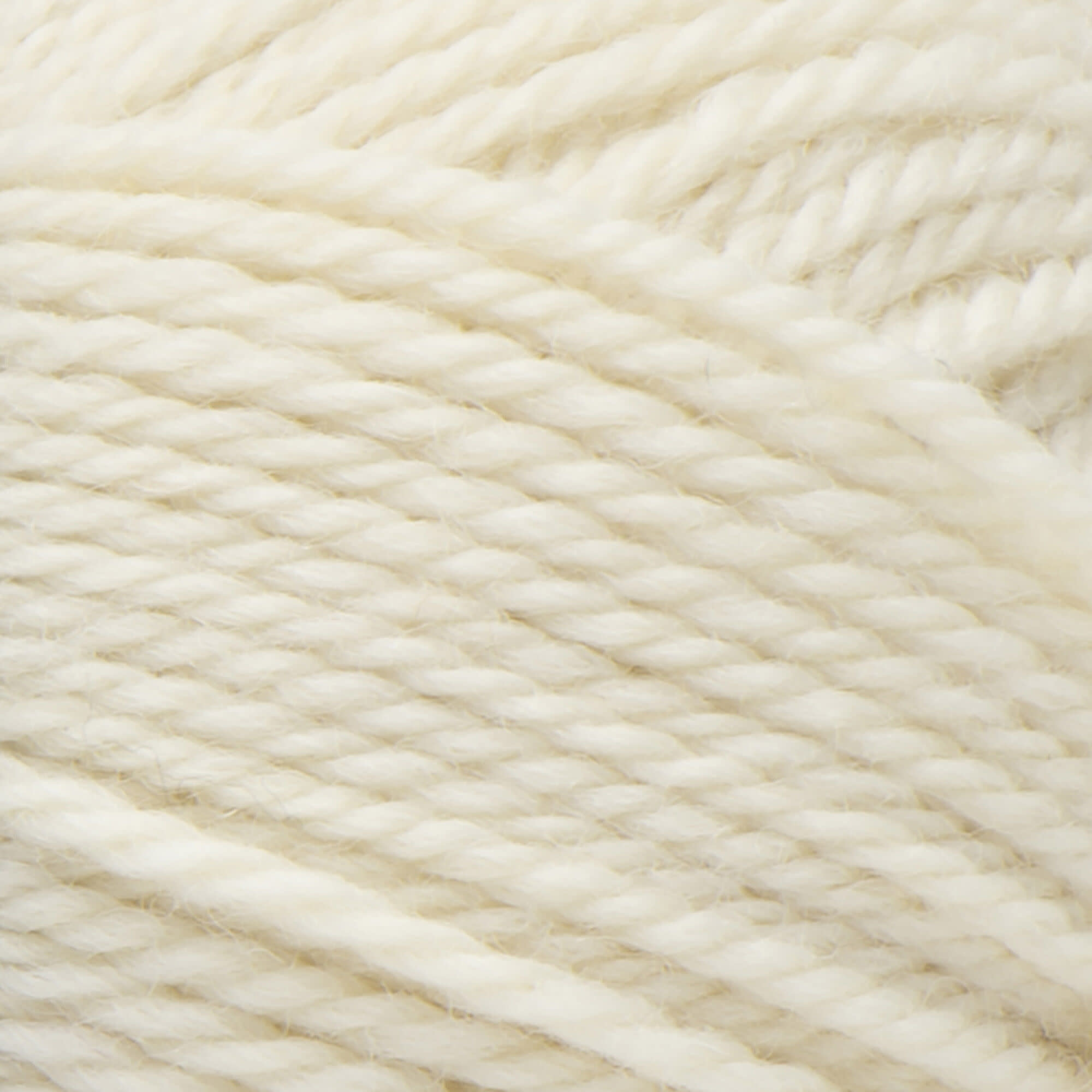 Patons Classic Wool Worsted-Aran/202
