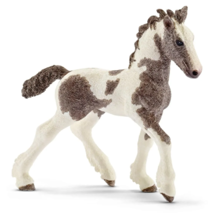 Tinker Foal