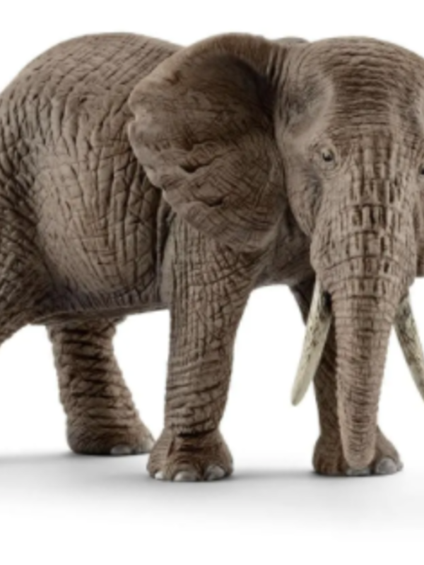 Schleich® African Elephant (female)