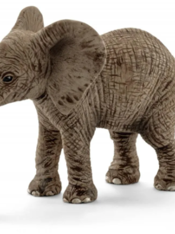 Schleich® African Elephant Calf