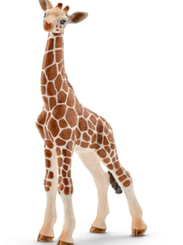 Schleich® Giraffe calf