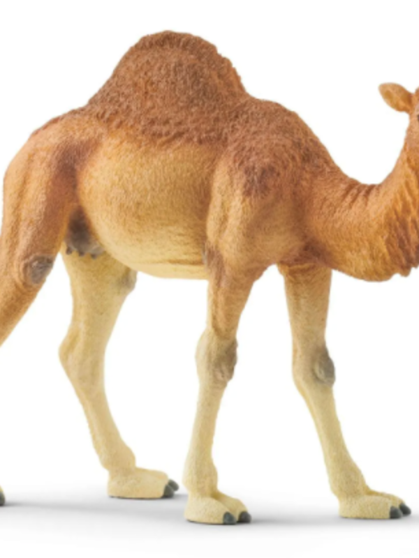 Schleich® Dromedary Camel