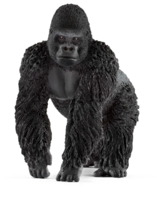 Gorilla Male