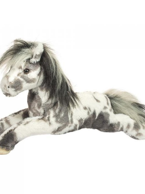 Douglas Starsky Appaloosa Horse