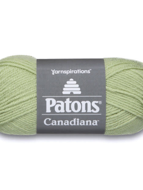 Patons Patons Canadiana Cherished Green / 230