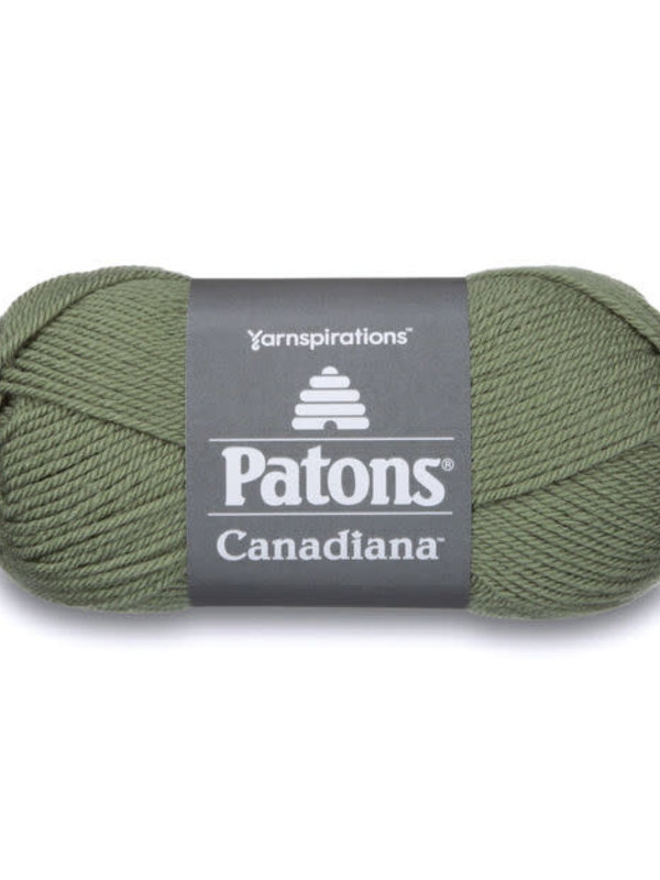 Patons Patons Canadiana - Med Green Tea/236