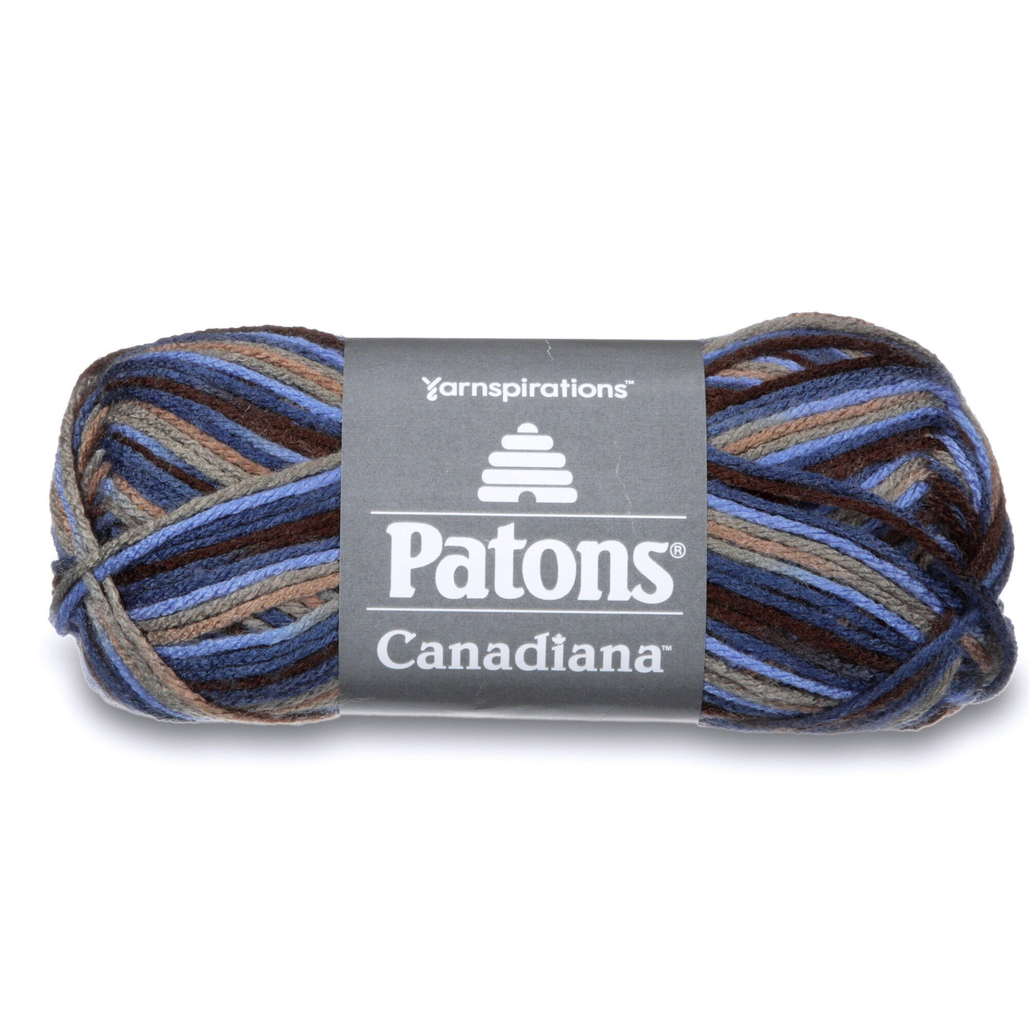 Patons Canadiana - Variegated - Wedgewood/107