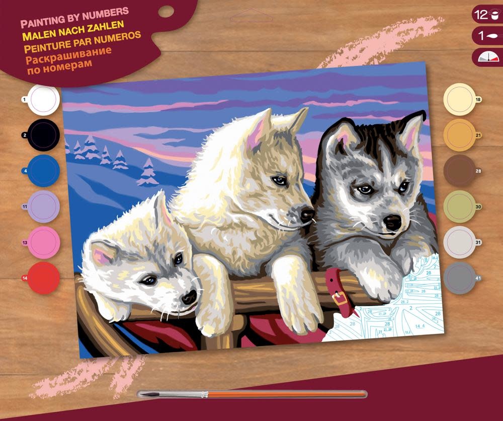 Paint By Number: Huskies