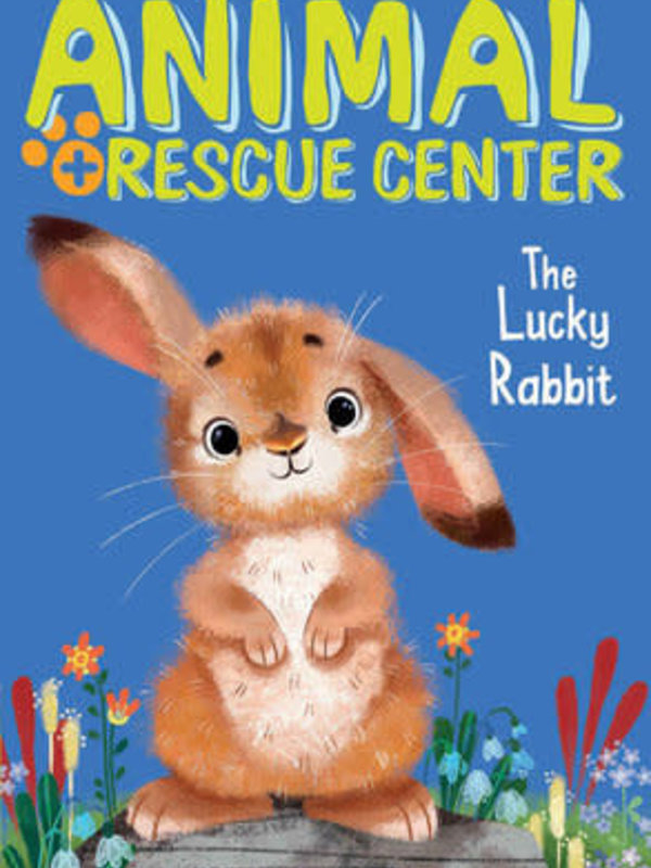 Animal Rescue Center The Lucky Rabbit