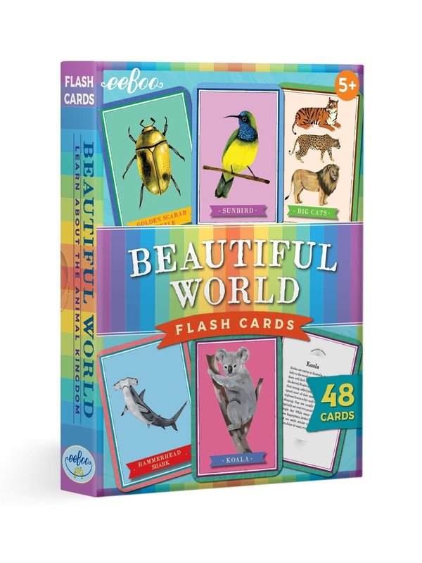 eeBoo Beautiful World Flash Cards