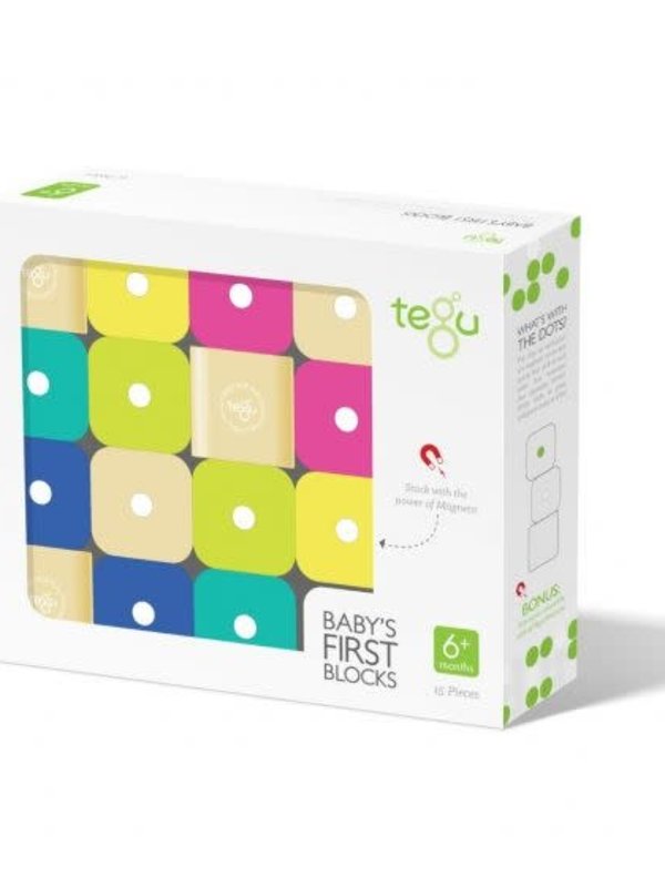 Tegu Tegu Baby's First Blocks 15pc