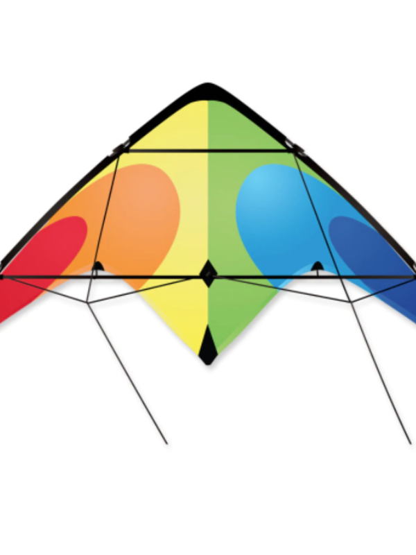 Bold Innovations Rainbow Flash Sport Kite