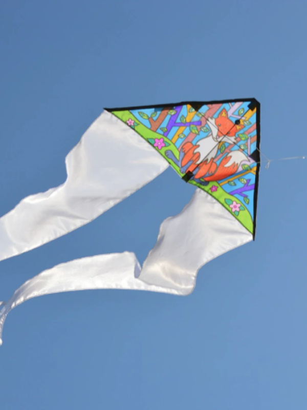 Premier Kites Colouring Kite Fox