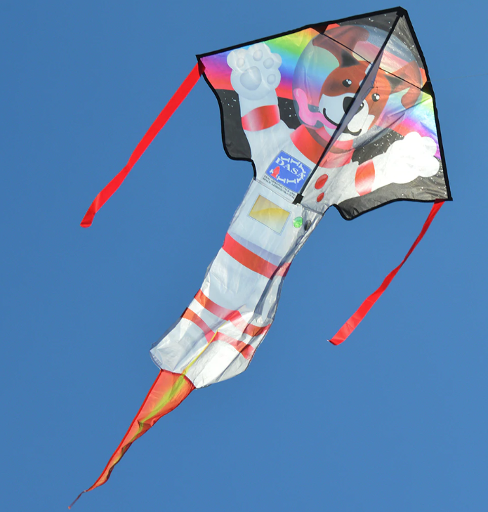 Lg Easy Flyer Kite Dog Side of The Moon