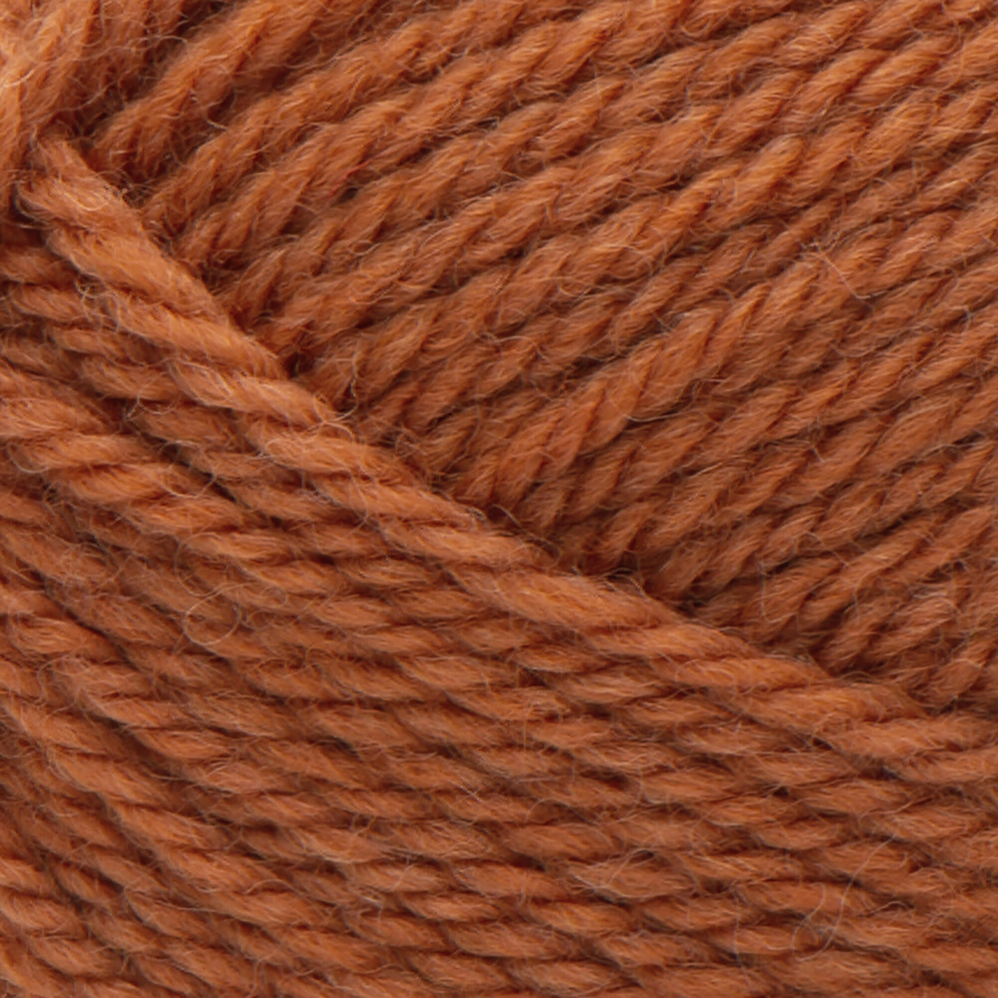 Patons Classic Wool Worsted-Pumpkin/605