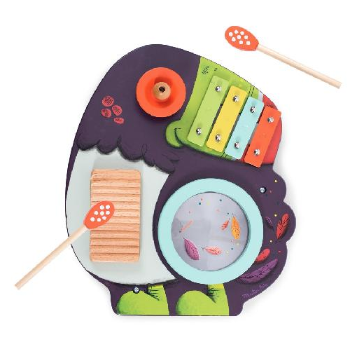 Multi-Activity Musical Toucan