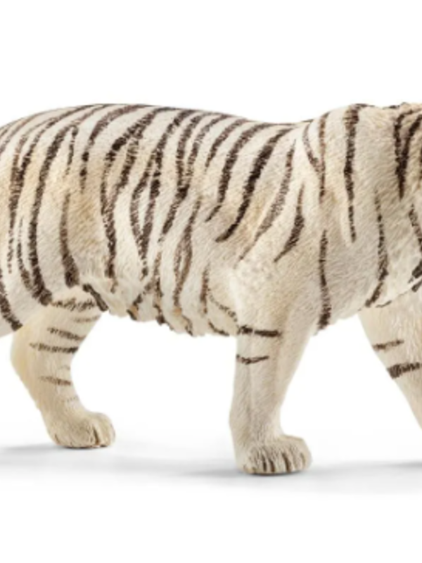 Schleich® White Tiger male