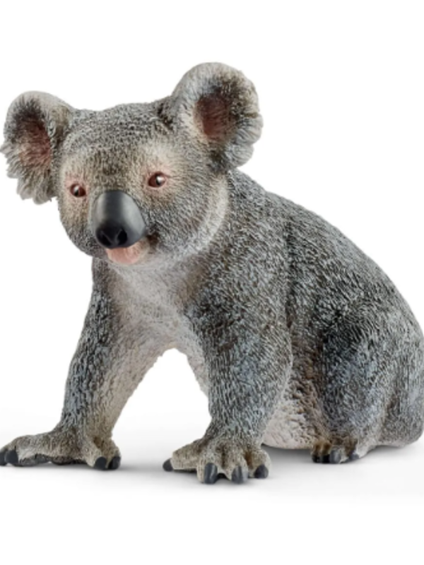 Schleich® Koala Bear