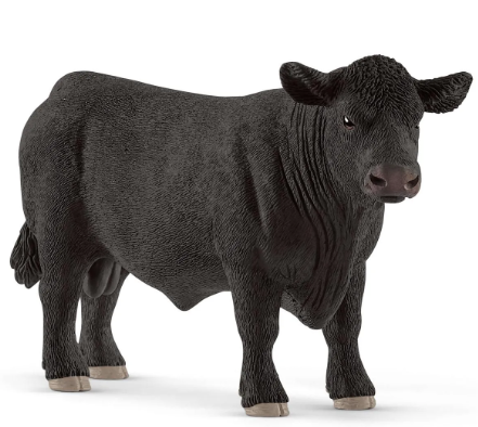 Black Angus Bull