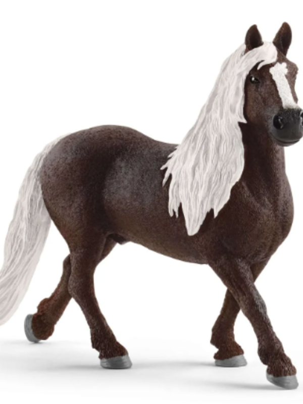 Schleich® Black Forest Horse Stallion