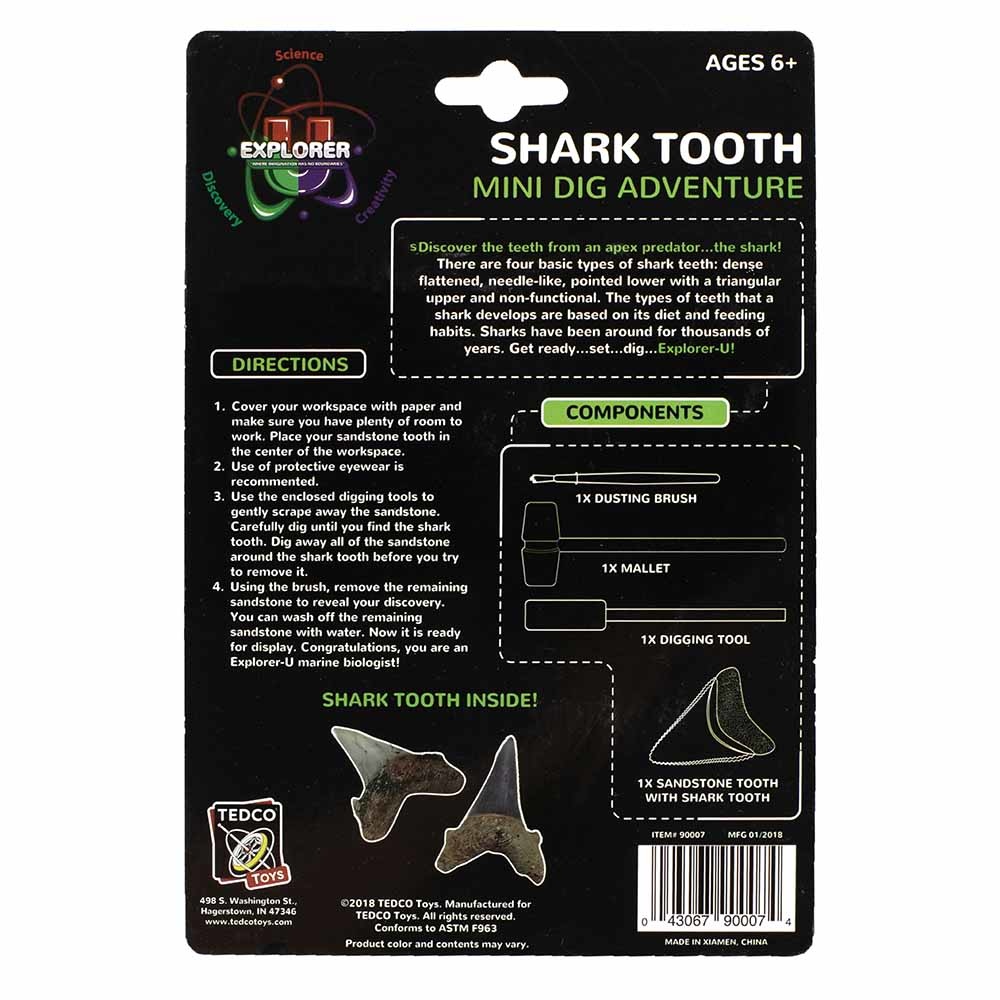 Mini Dig Kit Shark Tooth