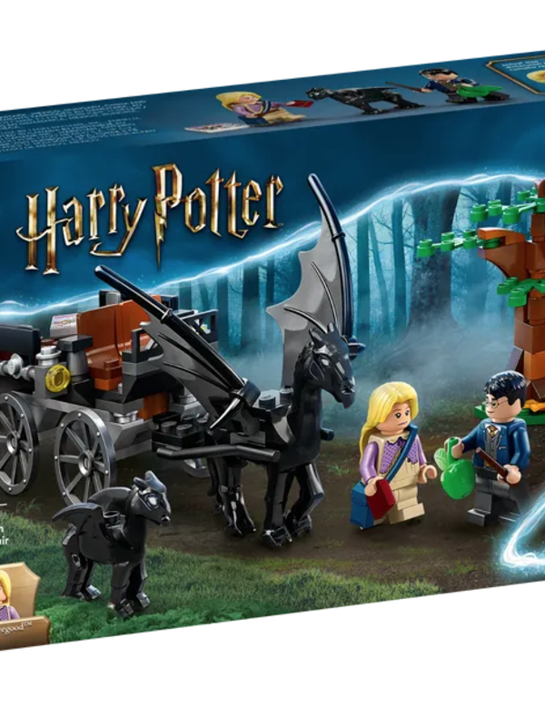 LEGO® LEGO® Hogwarts Carriage and Thestrals