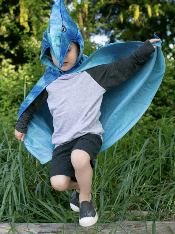 Great Pretenders Pterodactyl  Hooded Cape - Blue Size 4-5