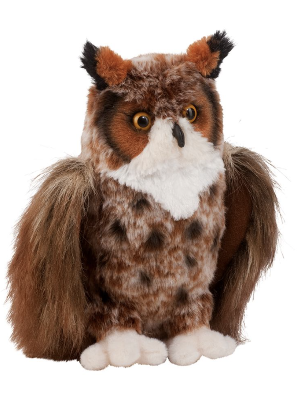 Douglas Einstein Great Horned Owl