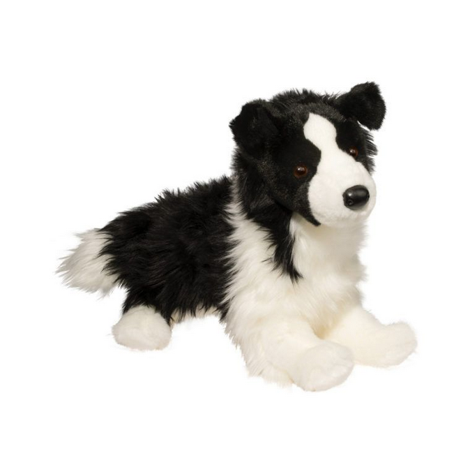 Chase Border Collie