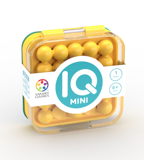 IQ Mini Puzzle