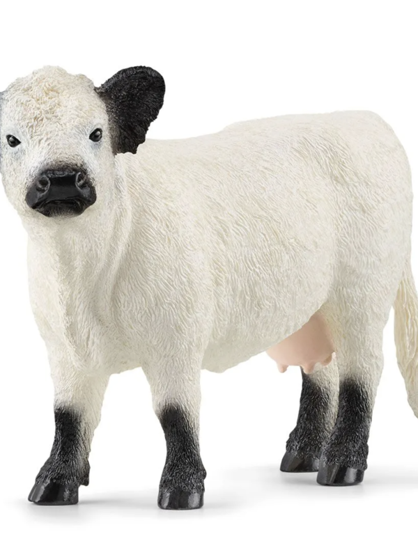 Schleich® Galloway Cattle / Cow