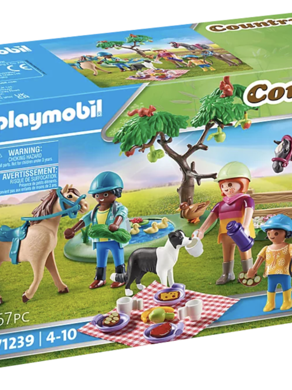 Playmobil® Picnic Adventure With Horses