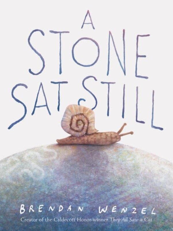 Chronicle Books A Stone Sat Still by Brendan Wenzel