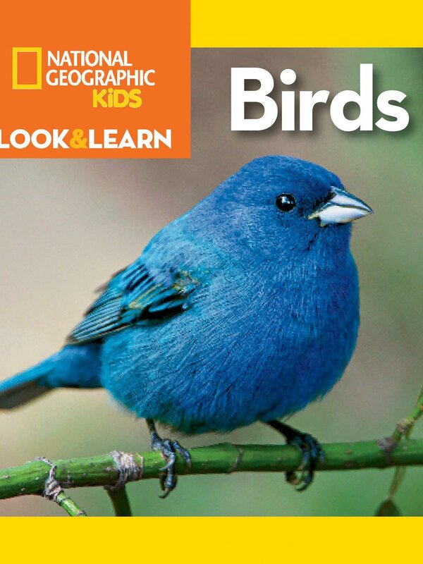 National Geographic NGK Look & Learn Birds