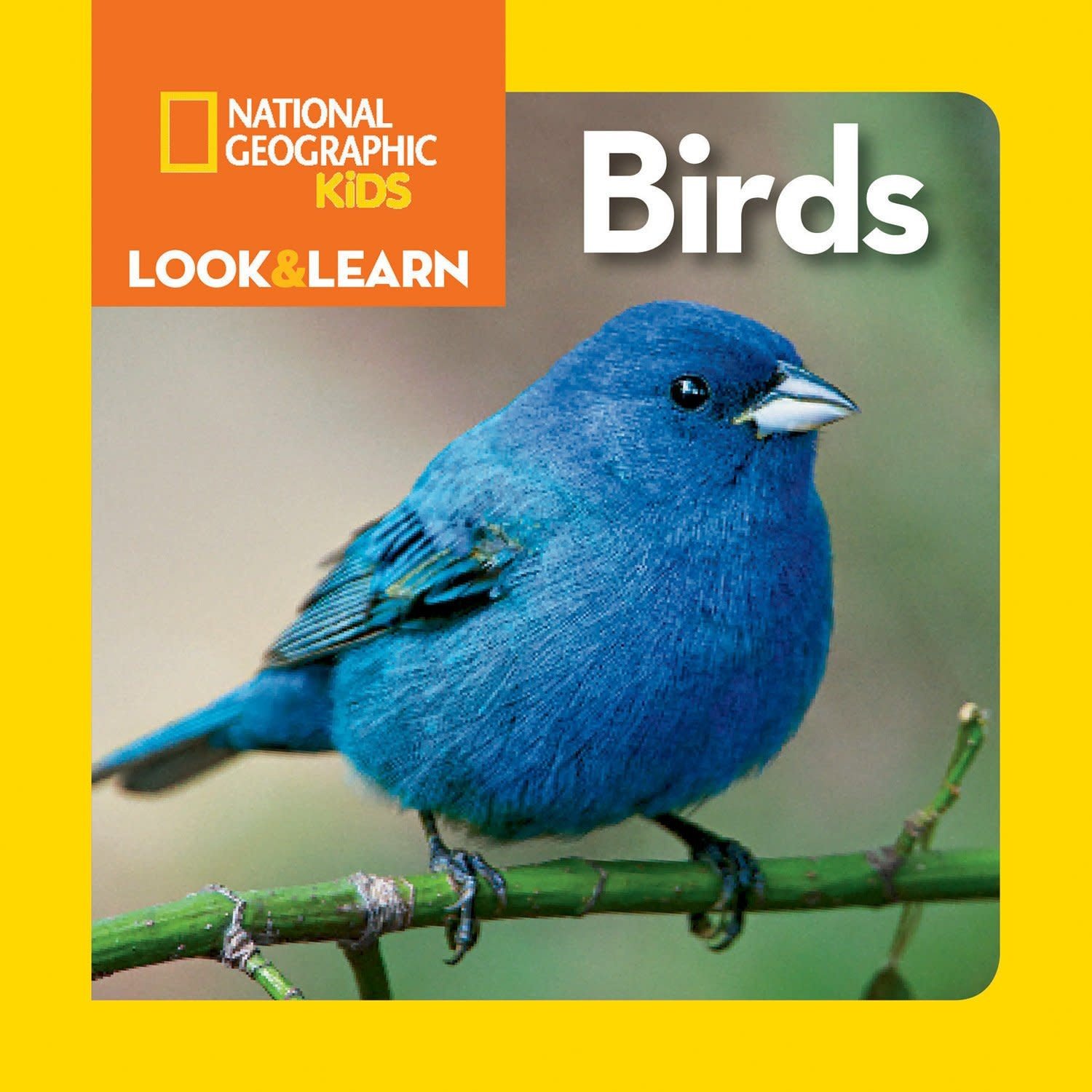 NGK Look & Learn Birds